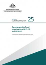 Icon for publication Commonwealth fraud investigations